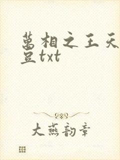 万相之王天蚕土豆txt