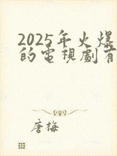 2025年火爆的电视剧有哪些