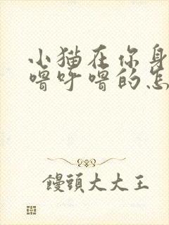 小猫在你身边呼噜呼噜的怎么回事