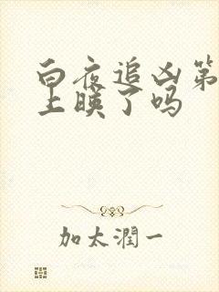 白夜追凶第二季上映了吗