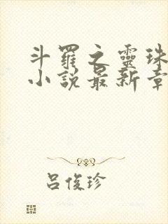 斗罗之灵珠神剑小说最新章节