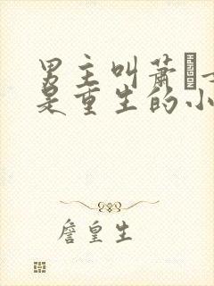 男主叫萧玦女主是重生的小说