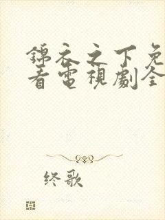 锦衣之下免费观看电视剧全集在线播放