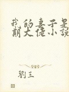 我的妻子是大乘期大佬小说免费阅读