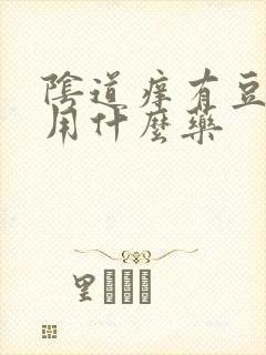 阴道痒有豆腐渣用什么药