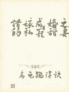 错嫁成婚之总裁的私宠甜妻在线阅读