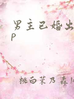 男主已婚出轨np