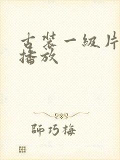 古装一级片在线播放