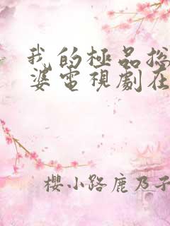 我的极品总裁老婆电视剧在线观看