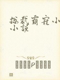 总裁霸宠小甜妻小说