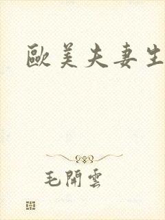 欧美夫妻生活片