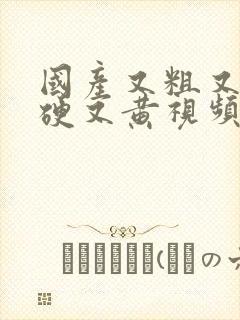 国产又粗又猛又硬又黄视频