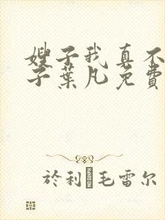 嫂子我真不是傻子叶凡免费