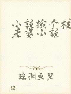 小说捡个校花做老婆小说