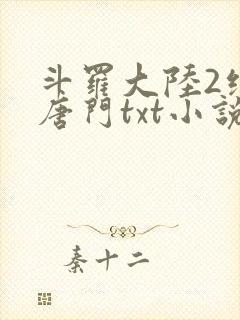 斗罗大陆2绝世唐门txt小说下载