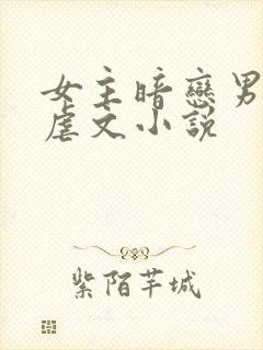 女主暗恋男主的虐文小说