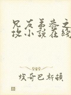 兄友弟恭之谁是攻小说在线阅读全文