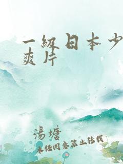 一级日本少妇乱爽片