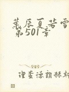 叶辰夏若雪孙怡 第501章