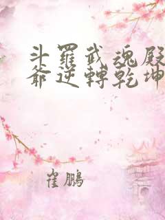 斗罗武魂殿二大爷逆转乾坤免费阅读