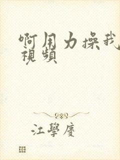 啊用力操我好爽视频