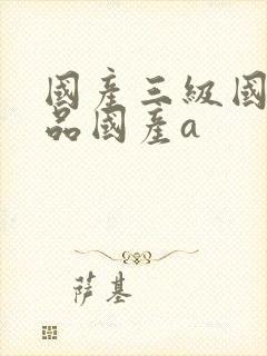 国产三级国产精品国产a