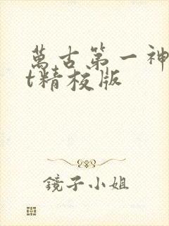 万古第一神txt精校版