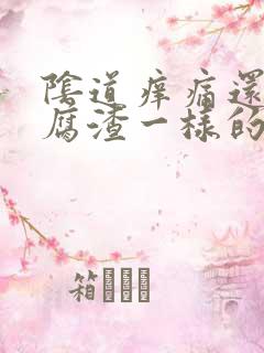 阴道痒痛还有豆腐渣一样的东西