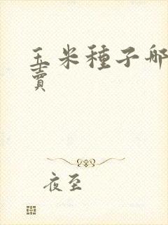 玉米种子哪里有卖