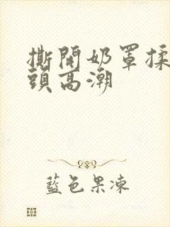 撕开奶罩揉吮奶头高潮