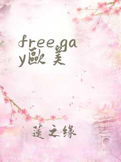 free.gay欧美