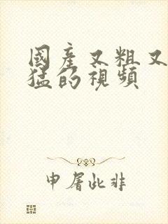 国产又粗又硬又猛的视频