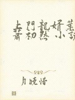 上门龙婿叶辰,萧初然 小说