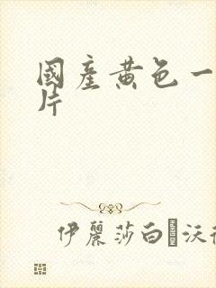 国产黄色一级大片