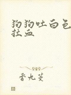 狗狗吐白色粘液拉血