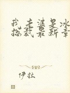 我老婆是冰山女总裁最新章节小说