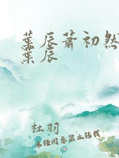 叶辰萧初然小说叶辰