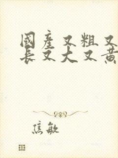 国产又粗又粗又长又大又黄视频