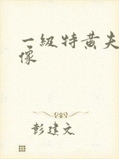 一级特黄夫妻录像