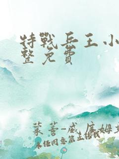 特战兵王小说完整免费