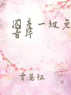 国产一级免费看看片