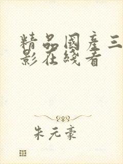 精品国产三级电影在线看