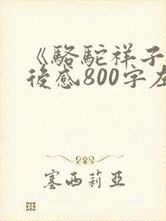 《骆驼祥子》读后感800字左右