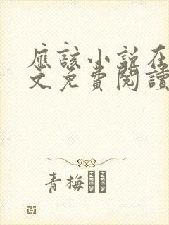 应该小说在线全文免费阅读