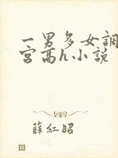 一男多女调教后宫高h小说