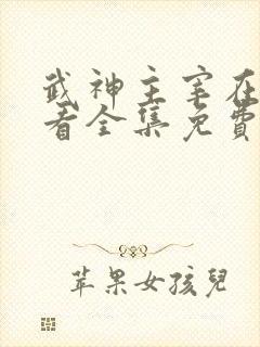 武神主宰在线观看全集免费播放动漫