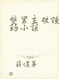 双男主破镜重圆的小说