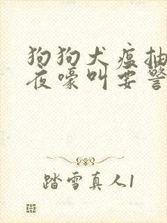 狗狗犬瘟抽搐整夜嚎叫要警惕