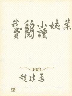 我的小姨叶凡免费阅读
