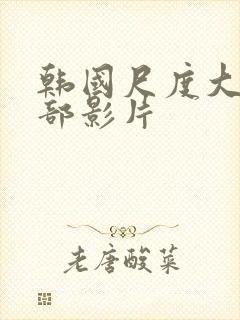 韩国尺度大的几部影片